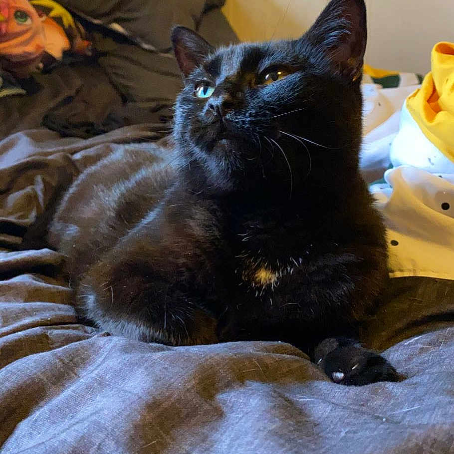Luna