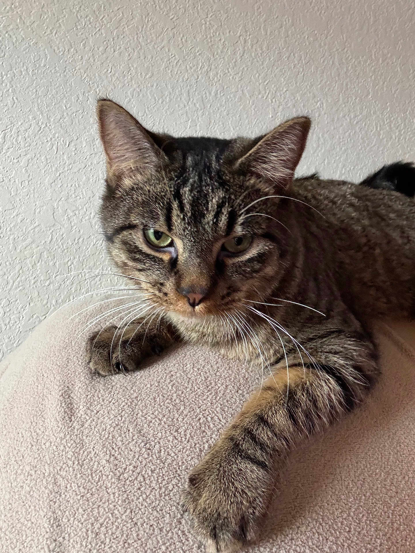 Tigger