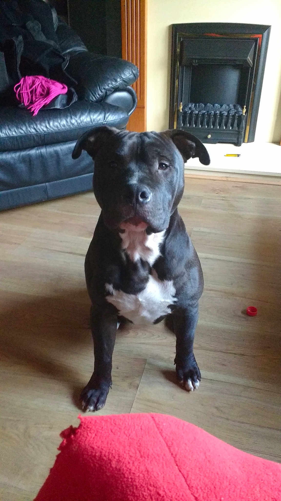 Diesel