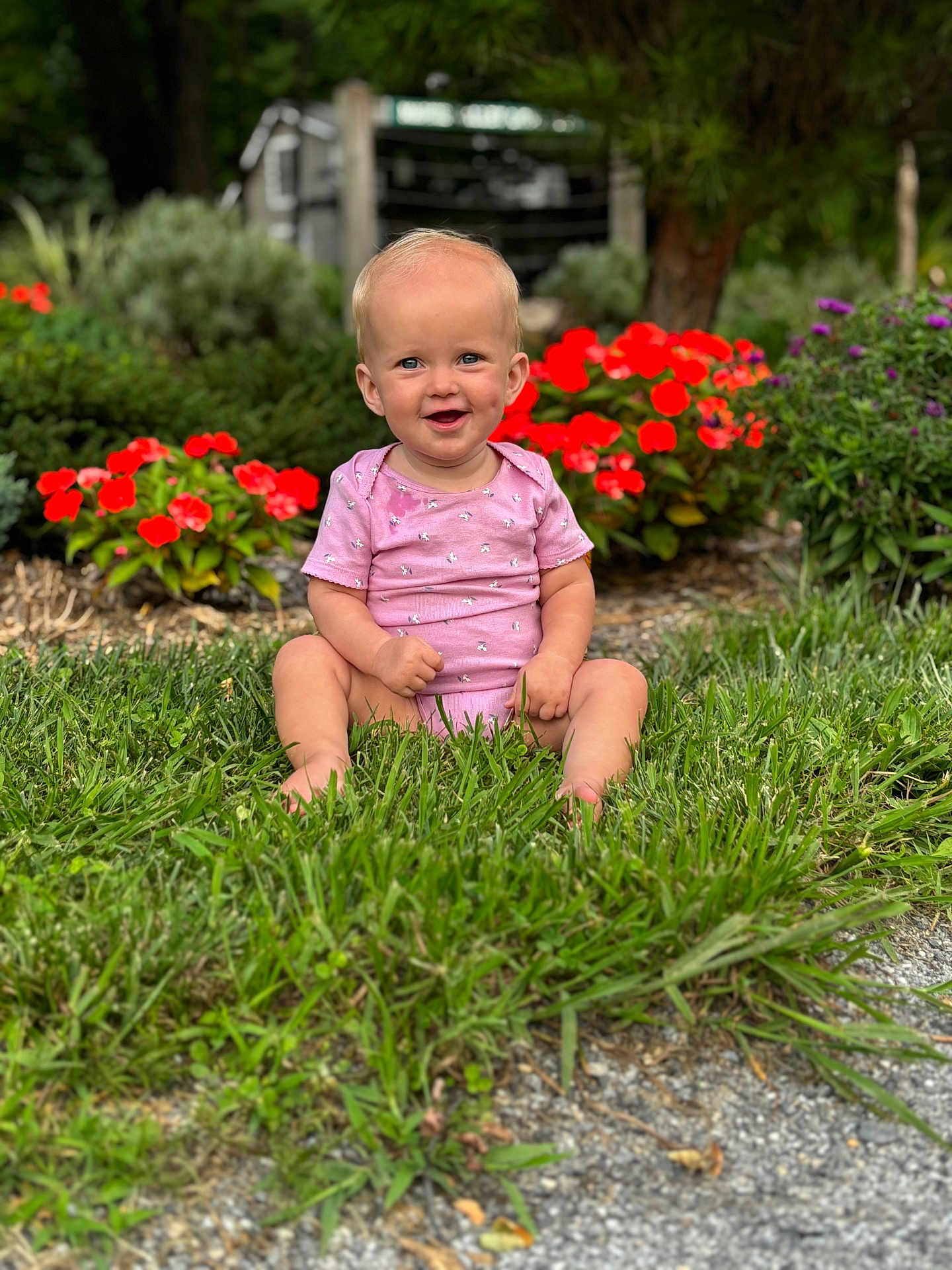 Ava is registered to the contest to win money with this photo: baby, child, grass, flowers, pink_clothing, outdoor, garden, greenery, smiling, sitting, nature, plants, happy, face, portrait, infant, sunlight, daylight, cute, young