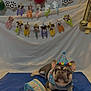 Archie is registered to the contest to win money with this photo: dog, french_bulldog, birthday, party_hat, bandana, blue_mat, balloons, banner, decorations, indoor, celebration, toy, plush, festive, cute, pet, animal, happy, face, lying_down