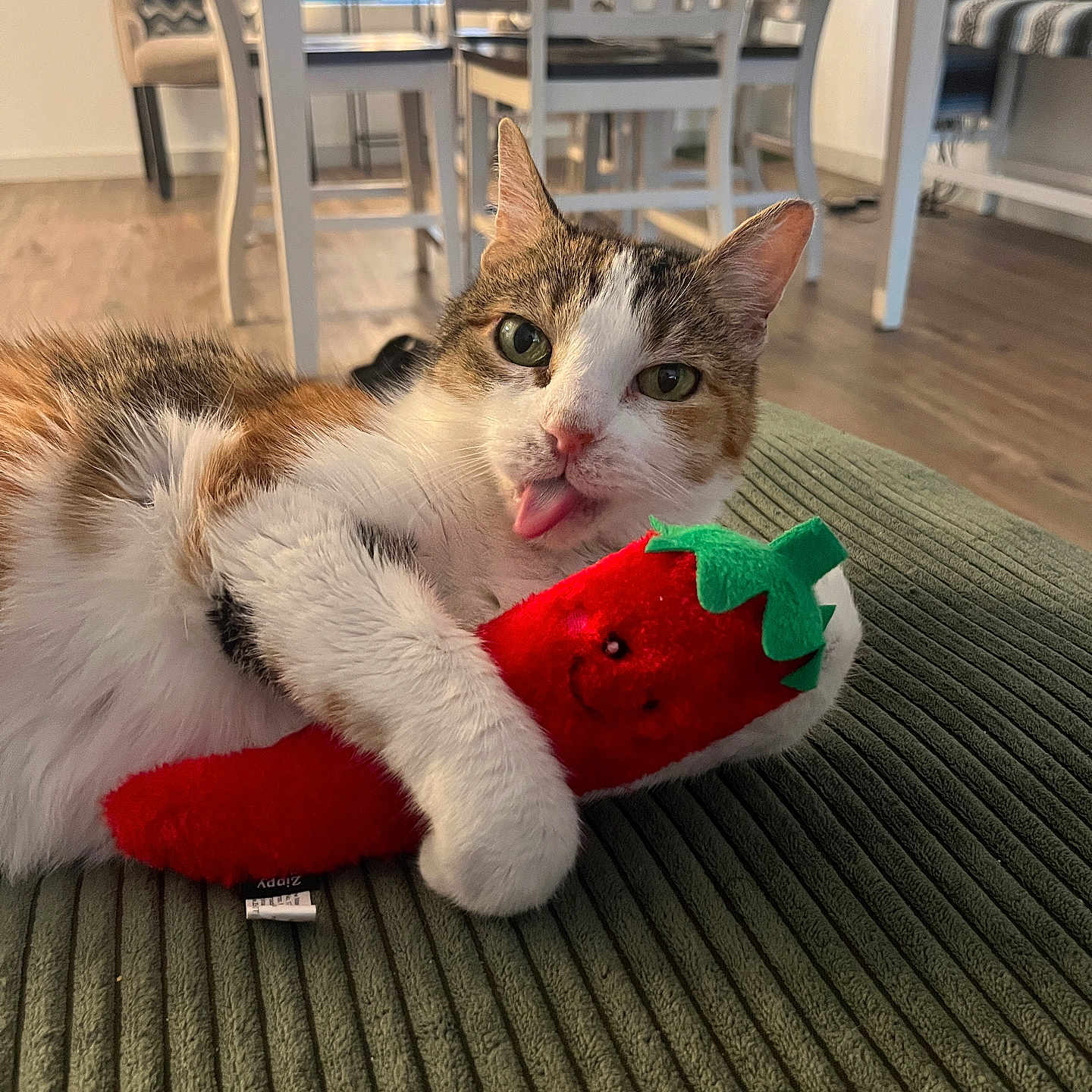 Keeper joined the competition — help win amazing prizes! calico_cat, cat, chair, close_up, cuddling, cushion, cute, dining_table, green_eyes, indoor, paws, pet, playful, plush_toy, portrait, room_interior, soft_texture, strawberry_toy, tongue_out, wooden_floor
