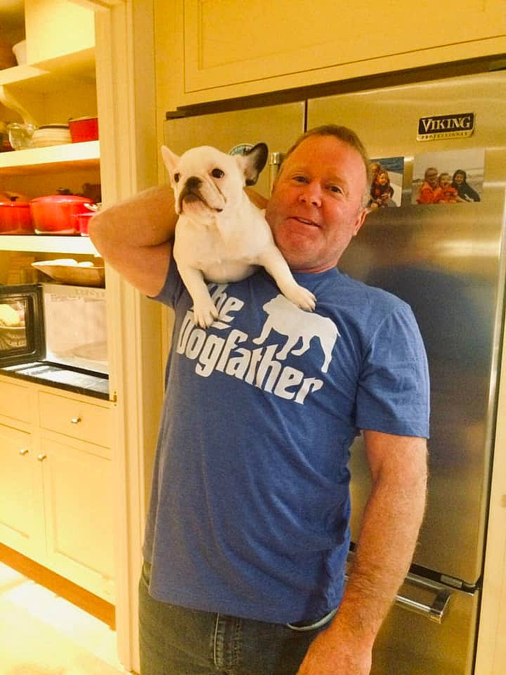 Eloise joined the competition — help win amazing prizes! active_shirt, cabinetry, canidae, carnivore, companion_dog, dog, dog_breed, humour, kitchen, kitchen_appliance, livestock, major_appliance, non_sporting_group, puppy, refrigerator, shelf, shelving, toy_dog, vertebrate, working_animal