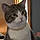 Arlo