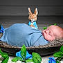 baby, sleeping, blanket, blue, plush_toy, bunny, flower, artificial_flower, green_leaves, bowl, fur_rug, cozy, portrait, infant, peaceful, indoor, decor, cute, resting, child