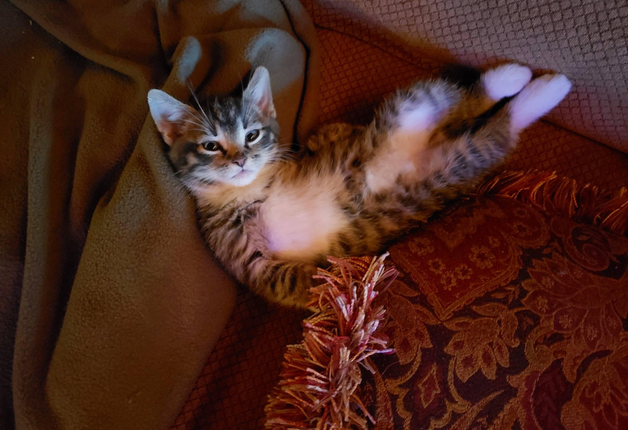 Aragorn