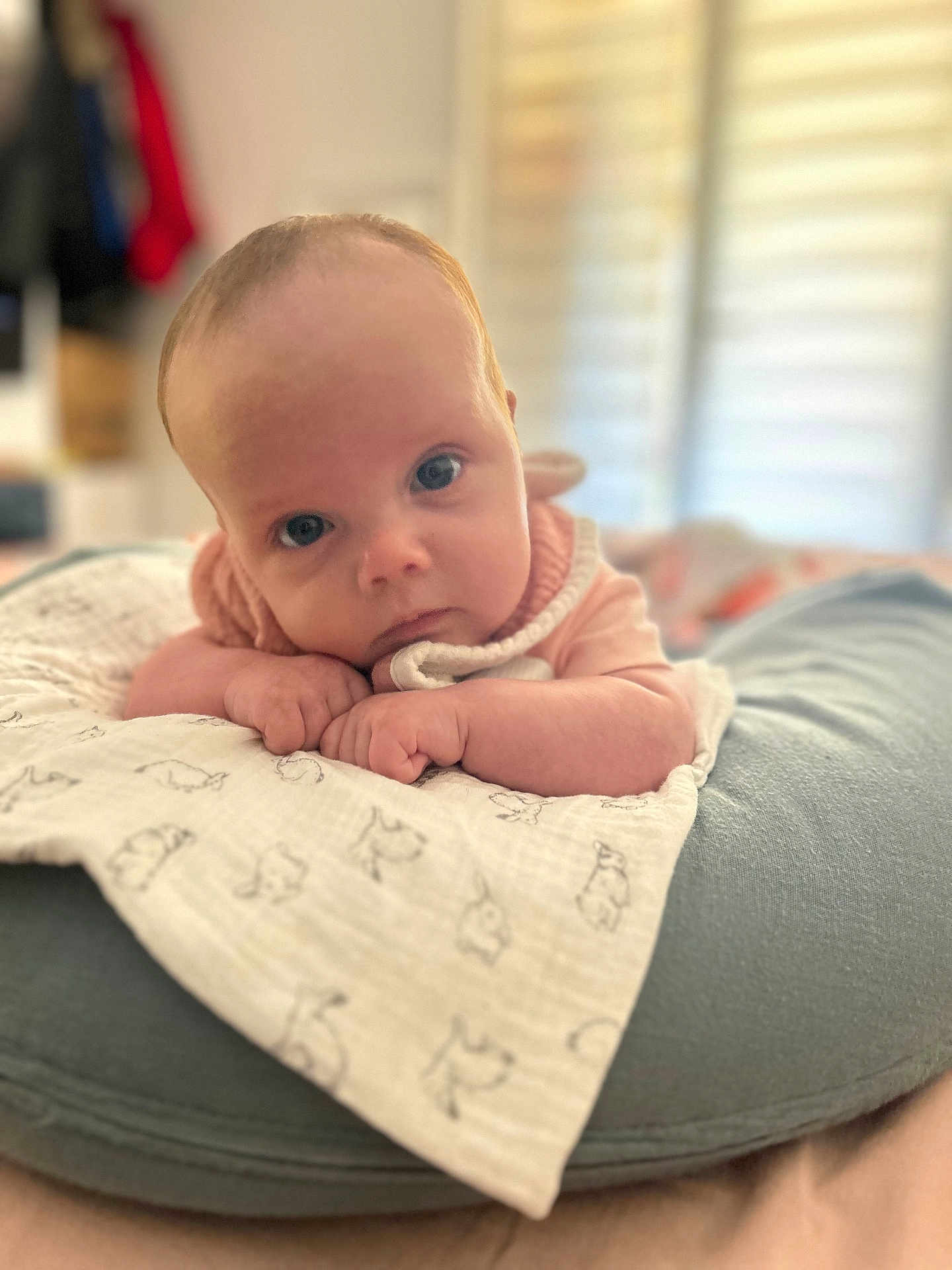 Judith a rejoint le concours — aidez-le/la à gagner de superbes lots ! baby, infant, face, eyes, blanket, cushion, soft, indoor, portrait, child, young, cute, resting, closeup, newborn, skin, head, hands, cozy, expression