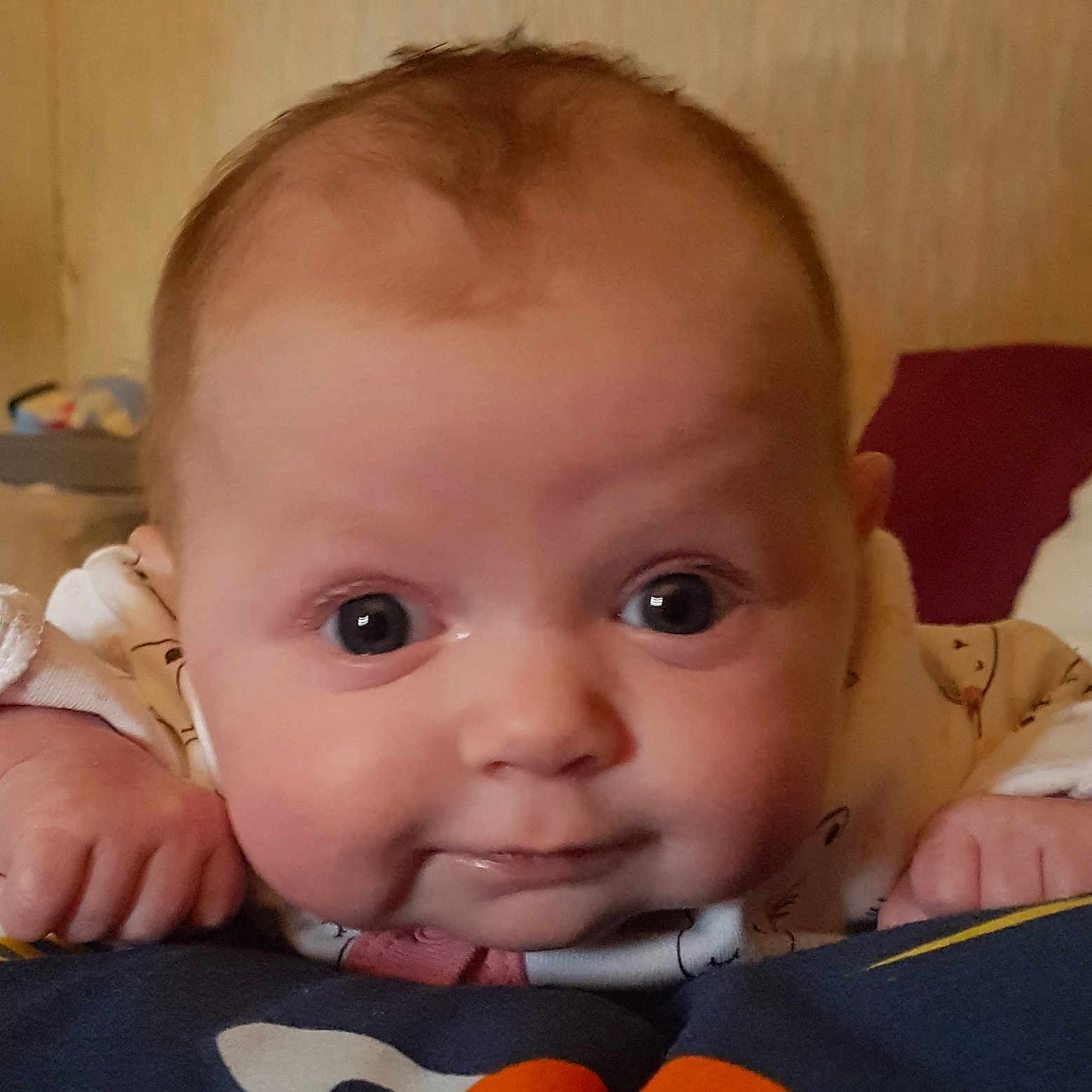 Erika is registered to the contest to win money with this photo: boy, cheek, child, chin, ear, eye, eyebrow, face, finger, forehead, hand, head, human_hair_color, infant, lip, mouth, nose, organ, person, skin