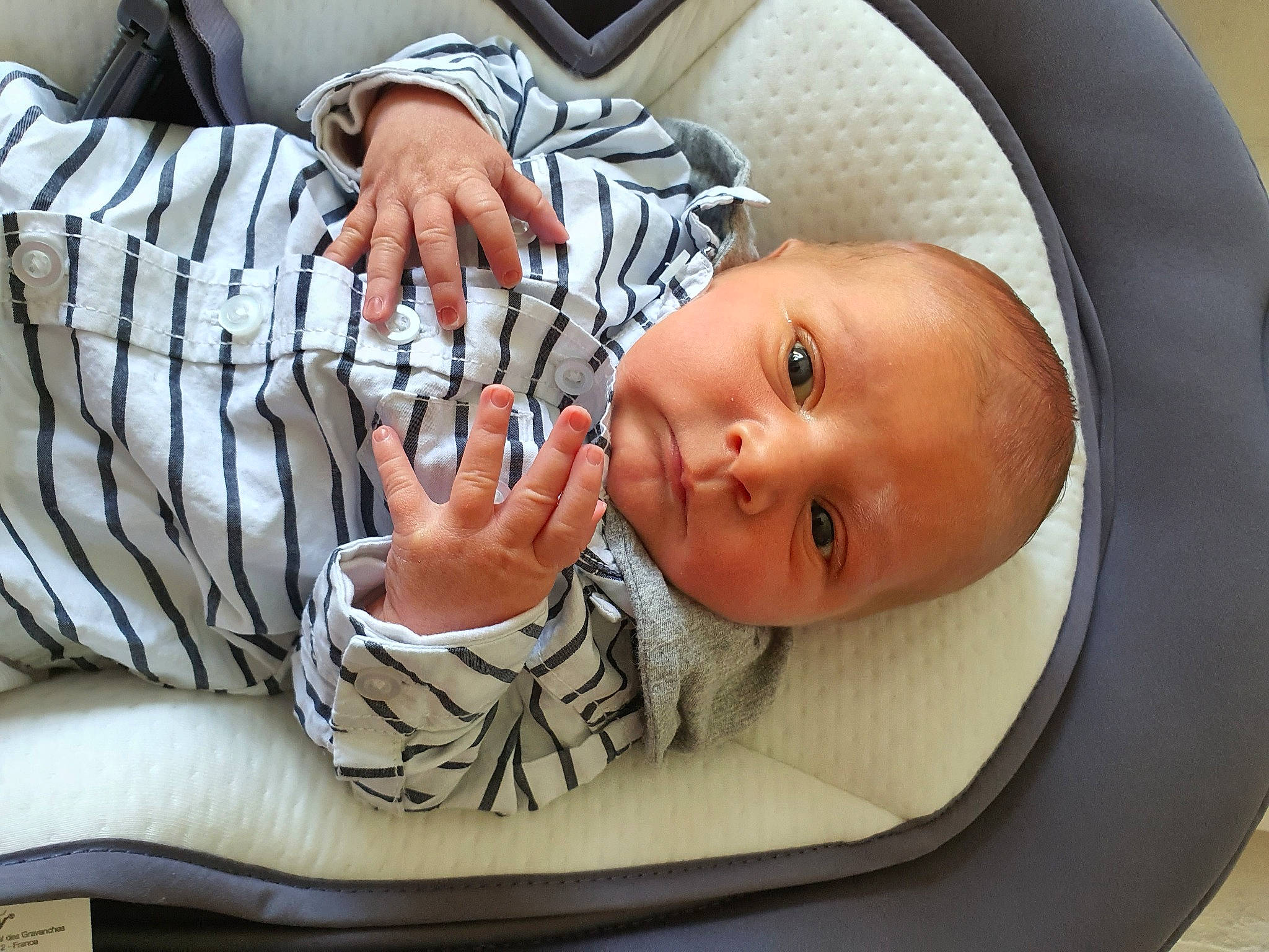 D'Gino a rejoint le concours — aidez-le/la à gagner de superbes lots ! baby, baby_safety, baby_toddler_clothing, chair, cheek, child, clothing, comfort, eye, eyelash, facial_expression, finger, gesture, hairstyle, hand, mammal, mouth, person, sleeve, thumb