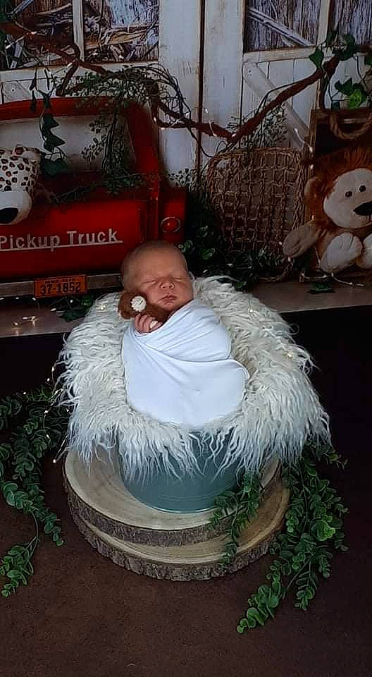 D'Gino a rejoint le concours — aidez-le/la à gagner de superbes lots ! art, beard, christmas, christmas_decoration, christmas_eve, christmas_ornament, event, facial_hair, fur, hat, holiday, lawn_ornament, mammal, ornament, person, plant, room, santa_claus, textile, toy