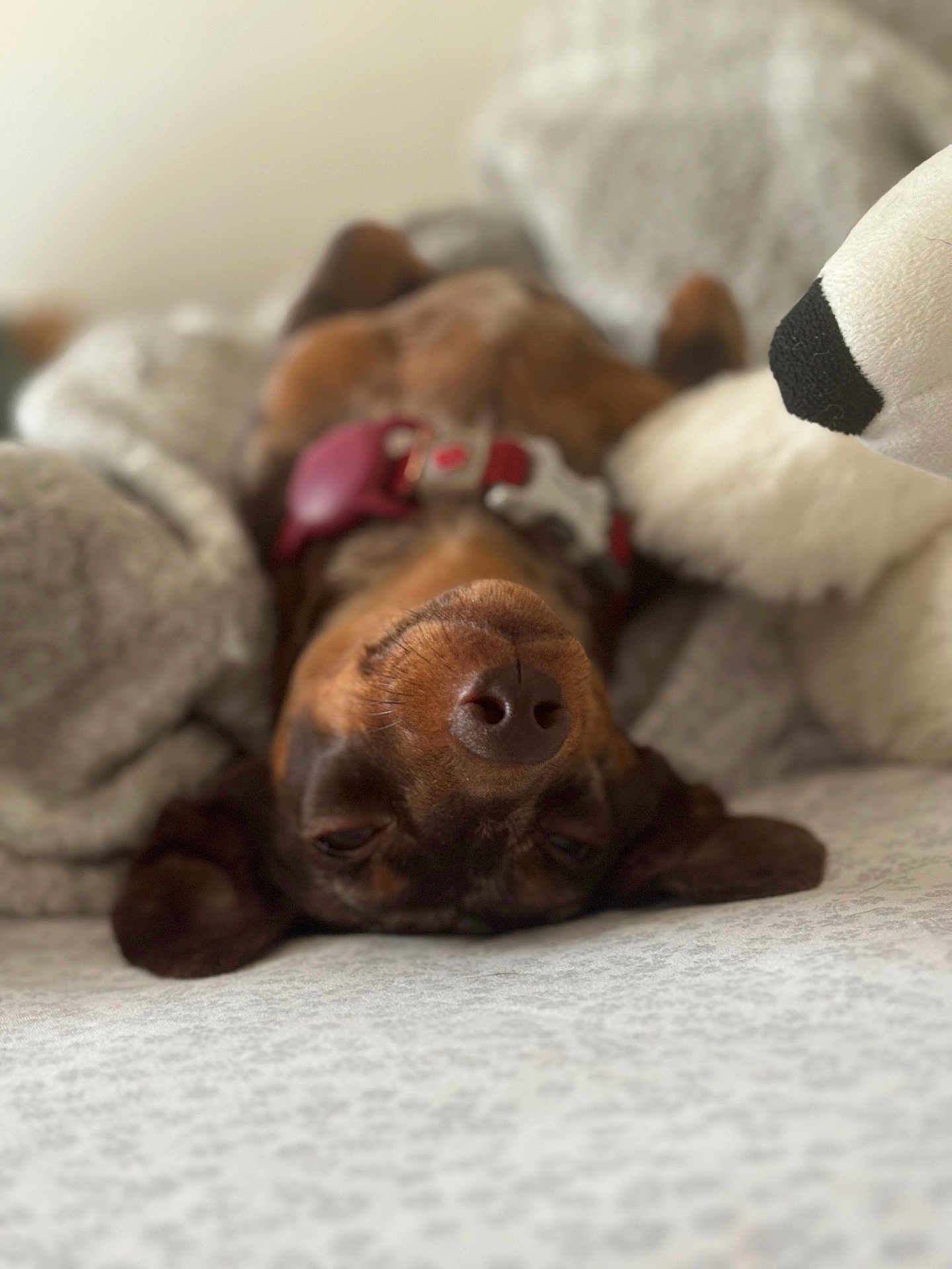 Winnie