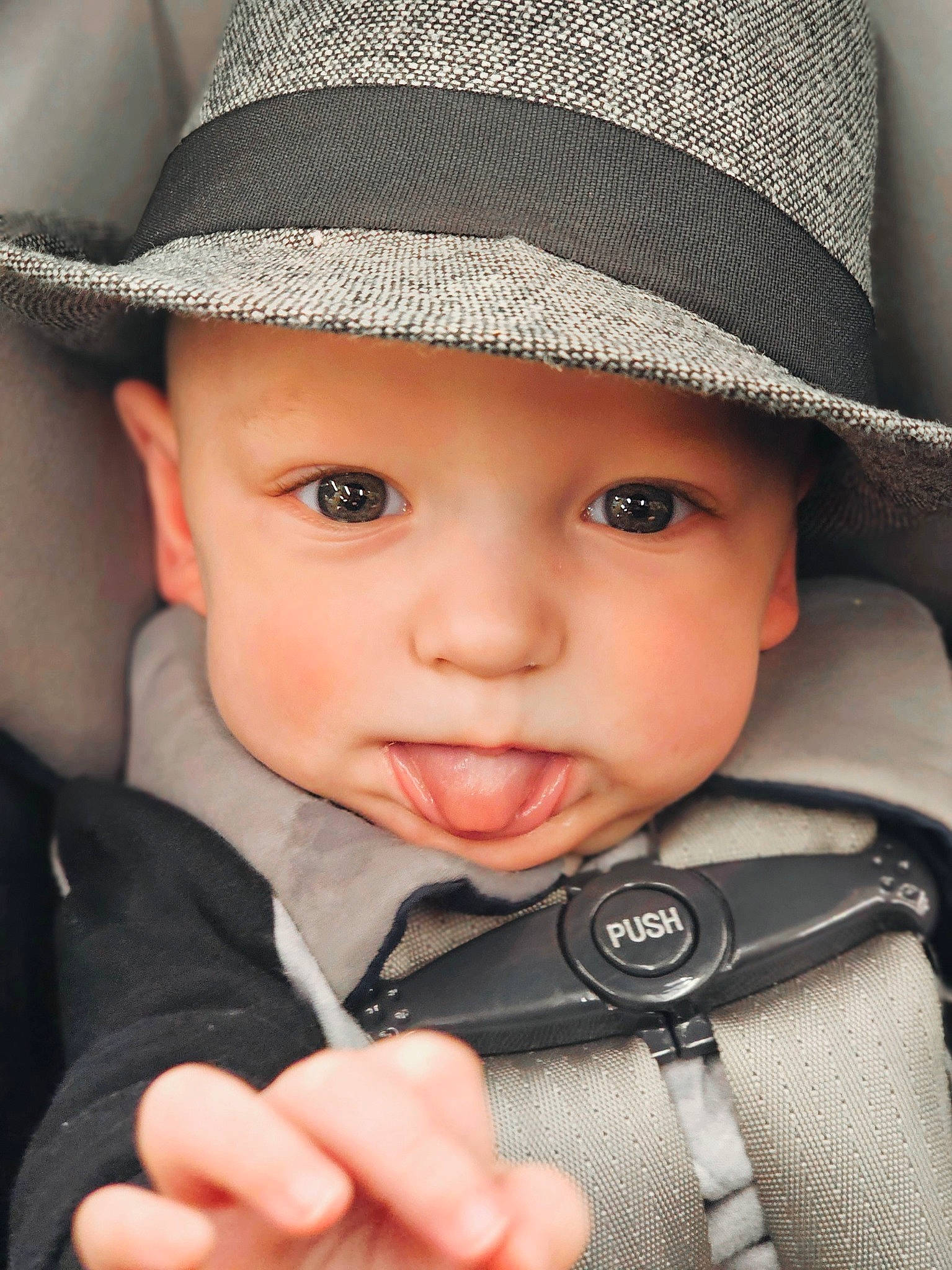 Dawson joined the competition — help win amazing prizes! black, cap, cheek, chin, clothing, eye, eyebrow, face, facial_expression, hat, headwear, iris, lip, mouth, nose, organ, outerwear, person, photograph, skin