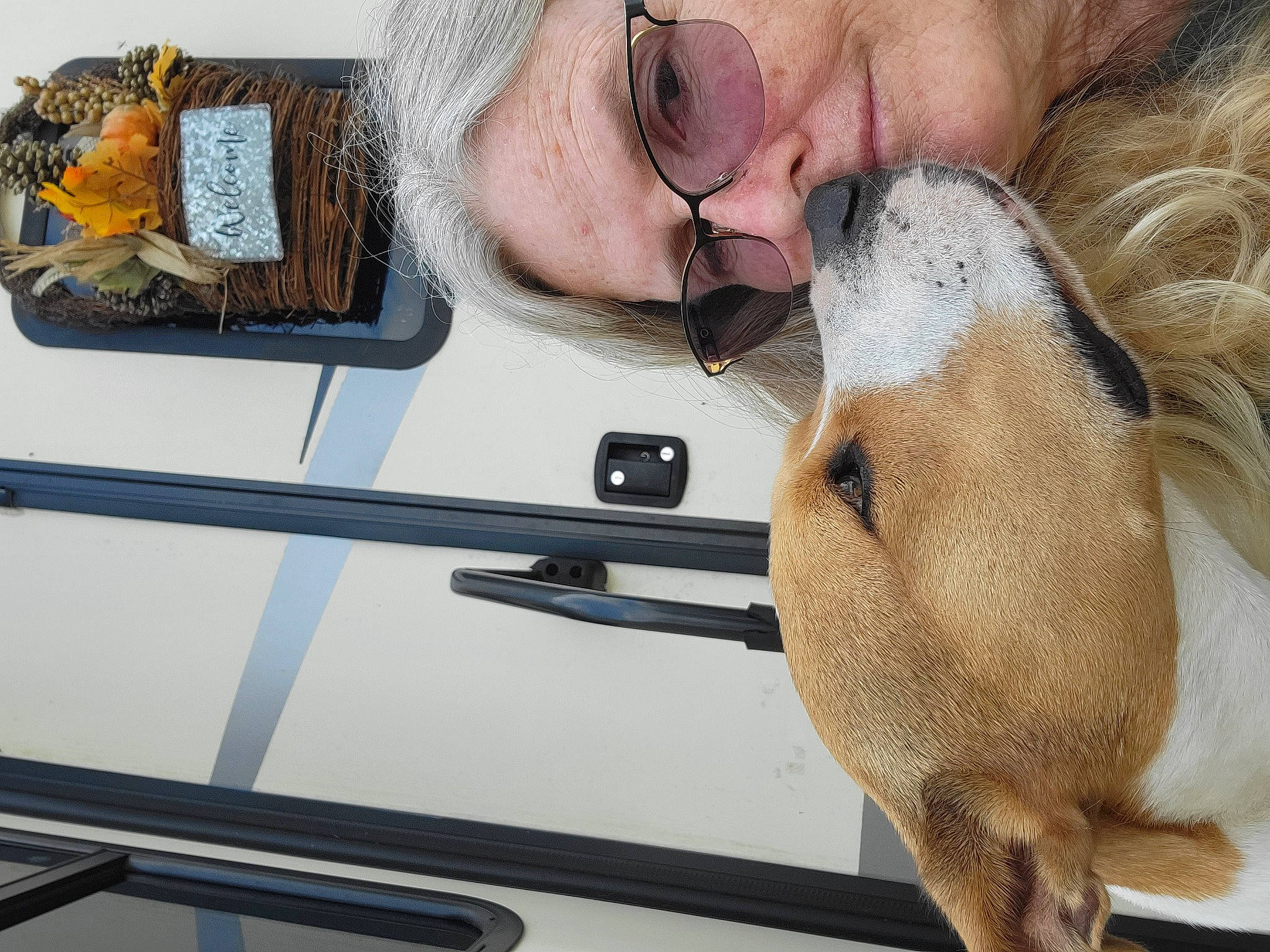 Chase joined the competition — help win amazing prizes! beard, canidae, comfort, companion_dog, dog_breed, ear, eyelash, eyewear, facial_hair, fur, moustache, nose, photography, picture_frame, skin, sunglasses, vehicle_door, vision_care, whiskers, wrinkle