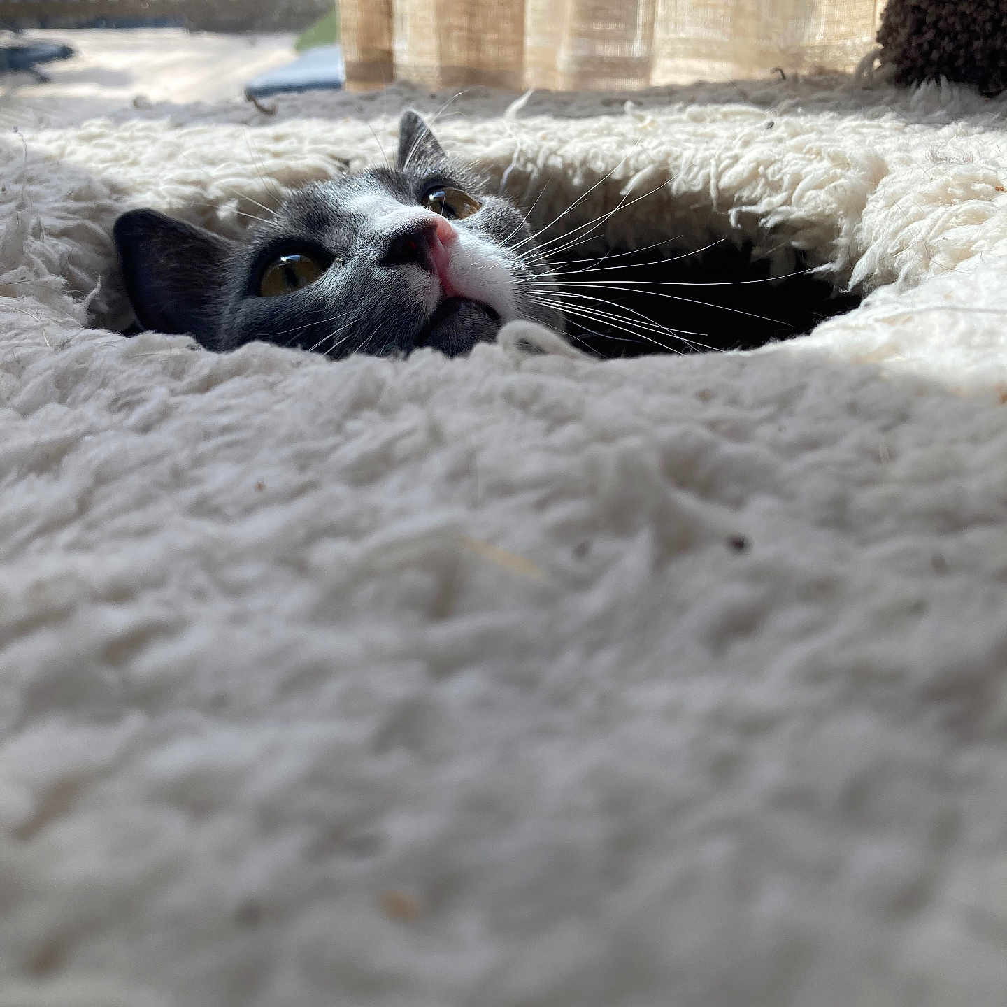 Sam