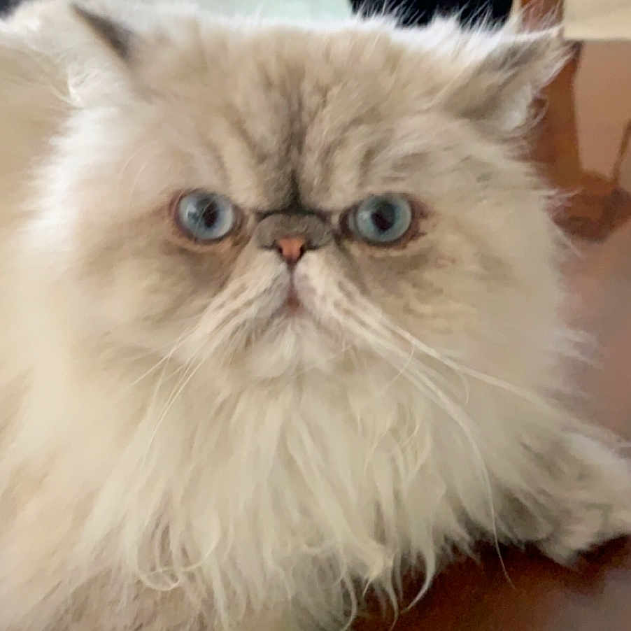 Pablo