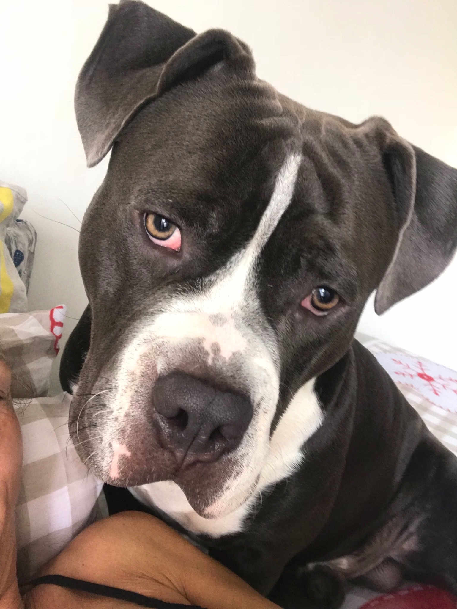Tyson