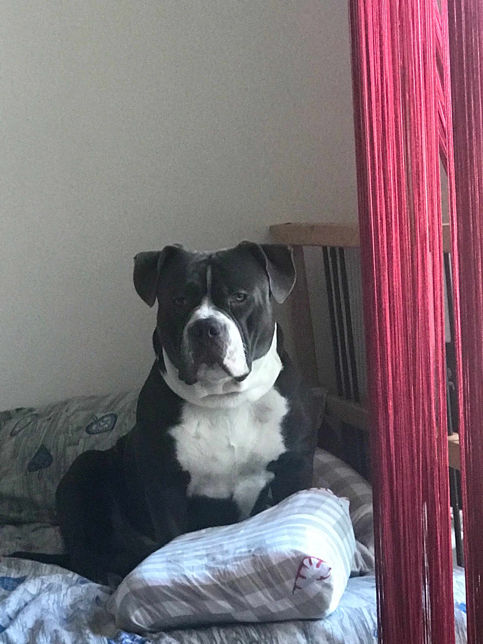 Tyson