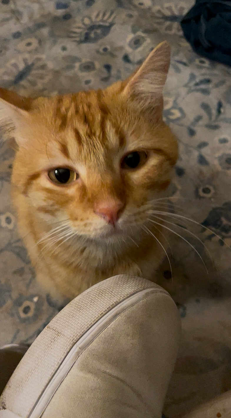 George