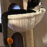 cat, black_and_white_cat, cat_hammock, scratching_post, tail, pom_pom, indoor, relaxed, sleeping_cat, wooden_cat_house, pet, feline, cozy, animal, fur, resting, home, cute, pet_accessory, playful