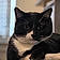 Sylvester