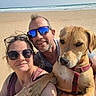 Darwin a rejoint le concours — aidez-le/la à gagner de superbes lots ! beach, dog, couple, selfie, sunglasses, sand, ocean, sky, sunny, pet, casual, outdoor, smile, happy, leash, summer, vacation, portrait, friendship, fun