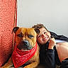 dog, child, red_bandana, smiling, curly_hair, indoor, wall, wood_floor, portrait, friendship, playing, happy, pet, casual_clothing, brown_dog, boy, closeup, relaxing, companionship, cute