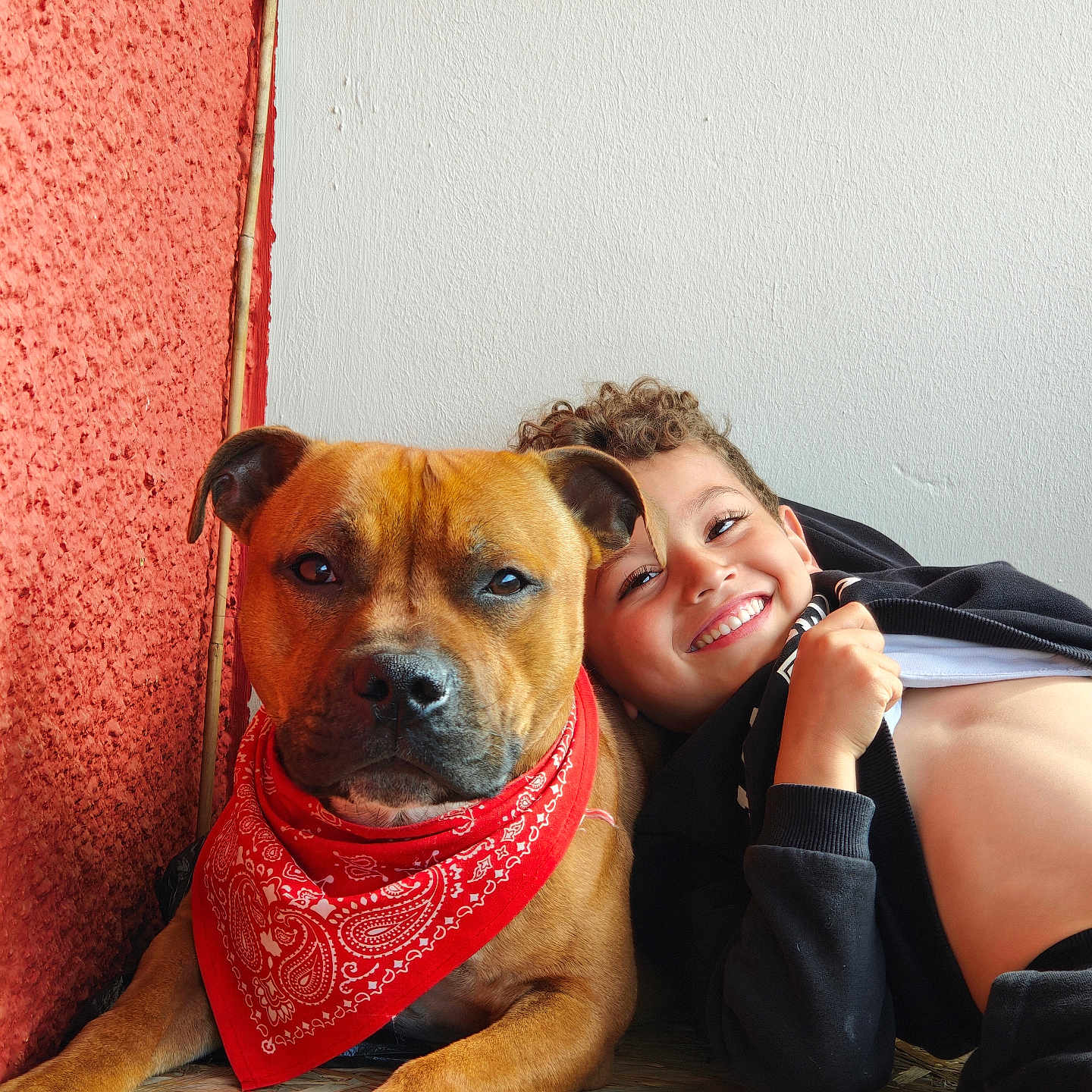 Voyou a rejoint le concours — aidez-le/la à gagner de superbes lots ! dog, child, red_bandana, smiling, curly_hair, indoor, wall, wood_floor, portrait, friendship, playing, happy, pet, casual_clothing, brown_dog, boy, closeup, relaxing, companionship, cute