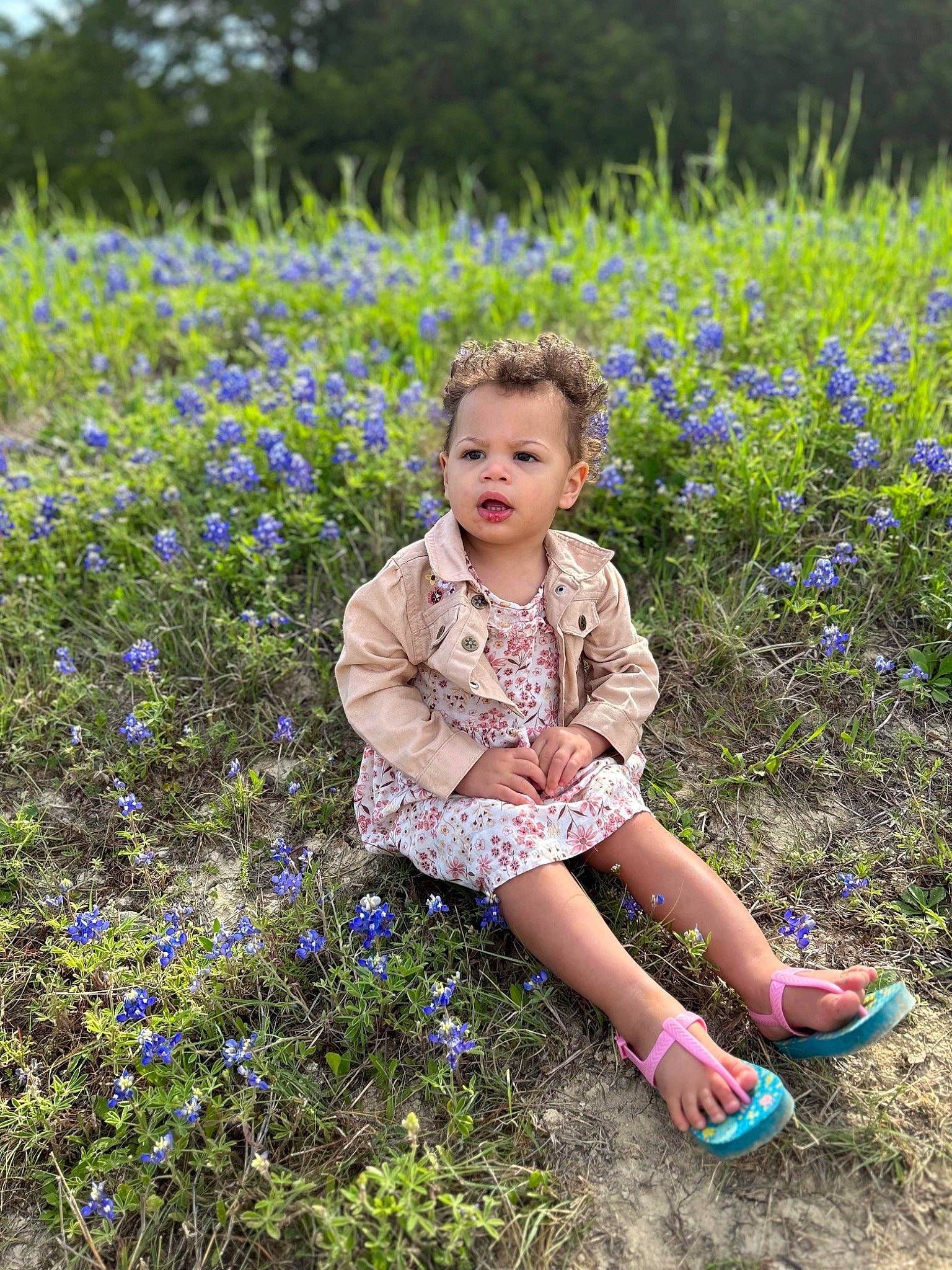 Zanetra joined the competition — help win amazing prizes! baby_toddler_clothing, blue, botany, electric_blue, flower, flowering_plant, grass, grassland, green, groundcover, happy, meadow, nature, people_in_nature, person, plant, purple, shrub, summer, toddler