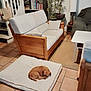 dog, living_room, cushion, sofa, wooden_furniture, plant, bookshelf, lamp, tile_floor, pillow, small_dog, sleeping, cozy, indoor, decor, table, stairs, blanket, home, furniture