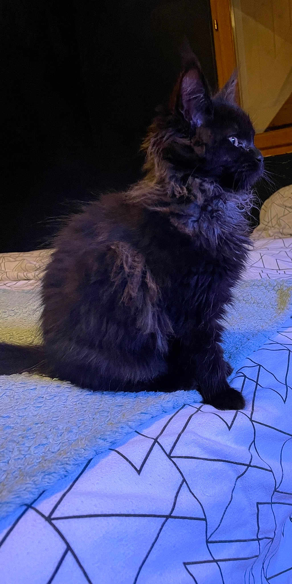 Lucille