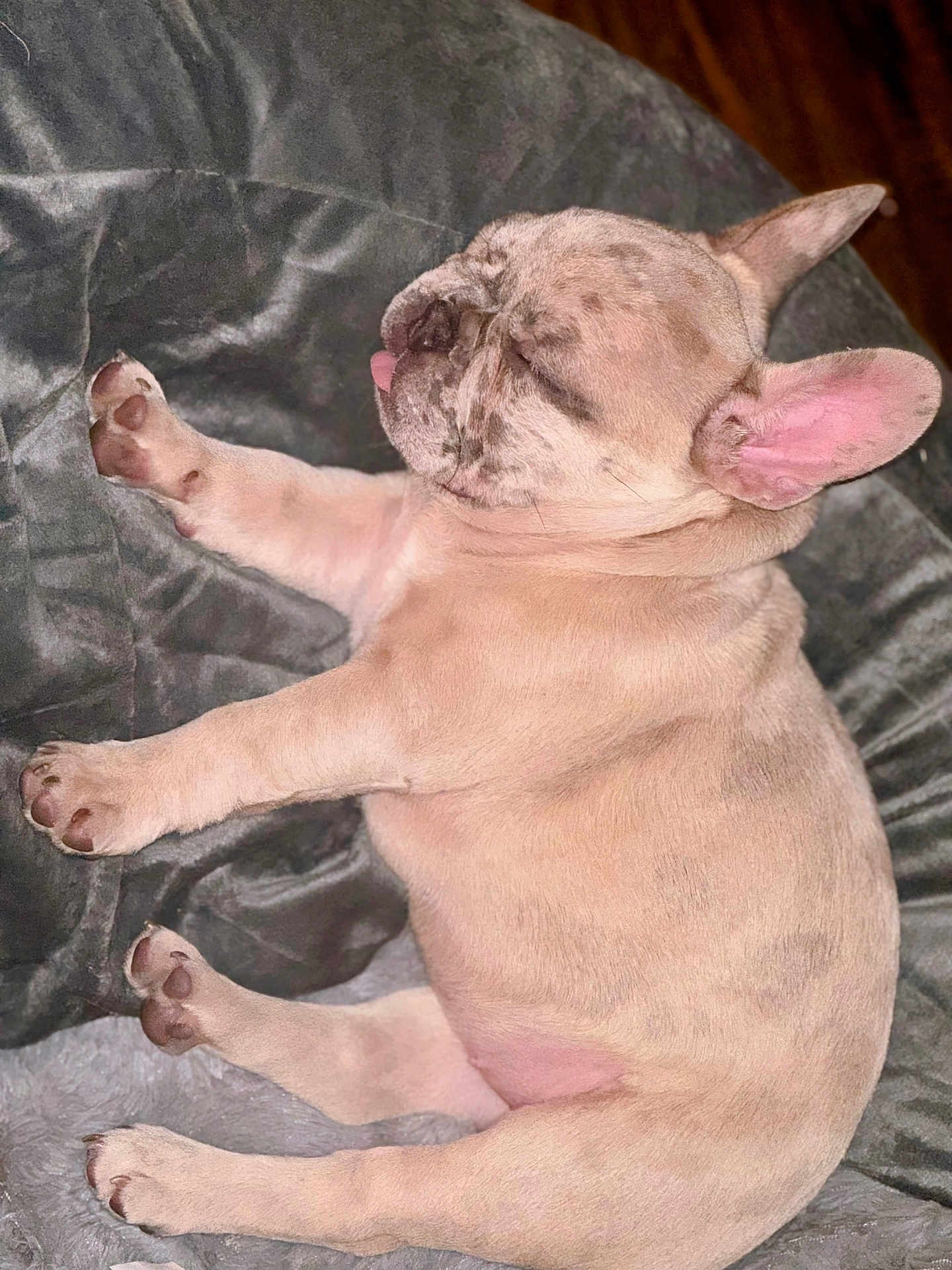 Nala