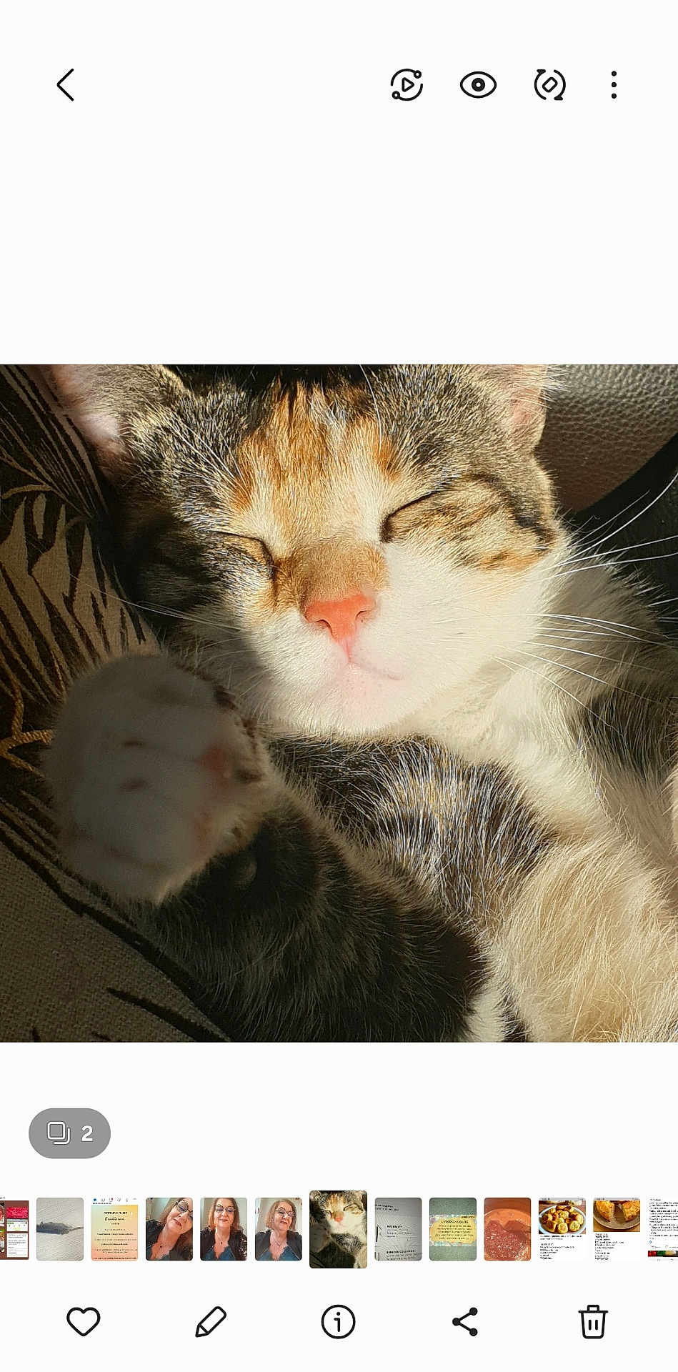 Rita participe au concours pour gagner de l'argent avec cette photo : cat, sleeping, closeup, paw, whiskers, fur, sunlight, cozy, pet, animal, relaxed, pink_nose, tabby, indoor, resting, cute, feline, comfort, soft, face