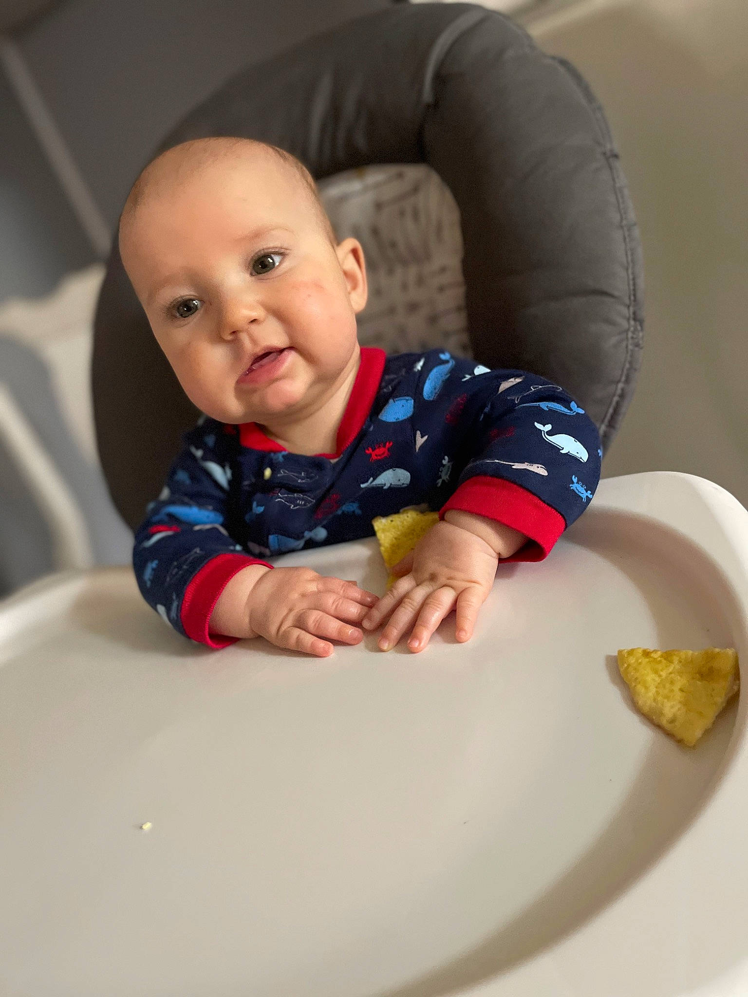 Finley is registered to the contest to win money with this photo: baby, baby_toddler_clothing, cheek, child, circle, comfort, comfort_food, dishware, flooring, fun, kitchen_utensil, person, plate, room, serveware, sitting, sleeve, smile, tableware, toddler