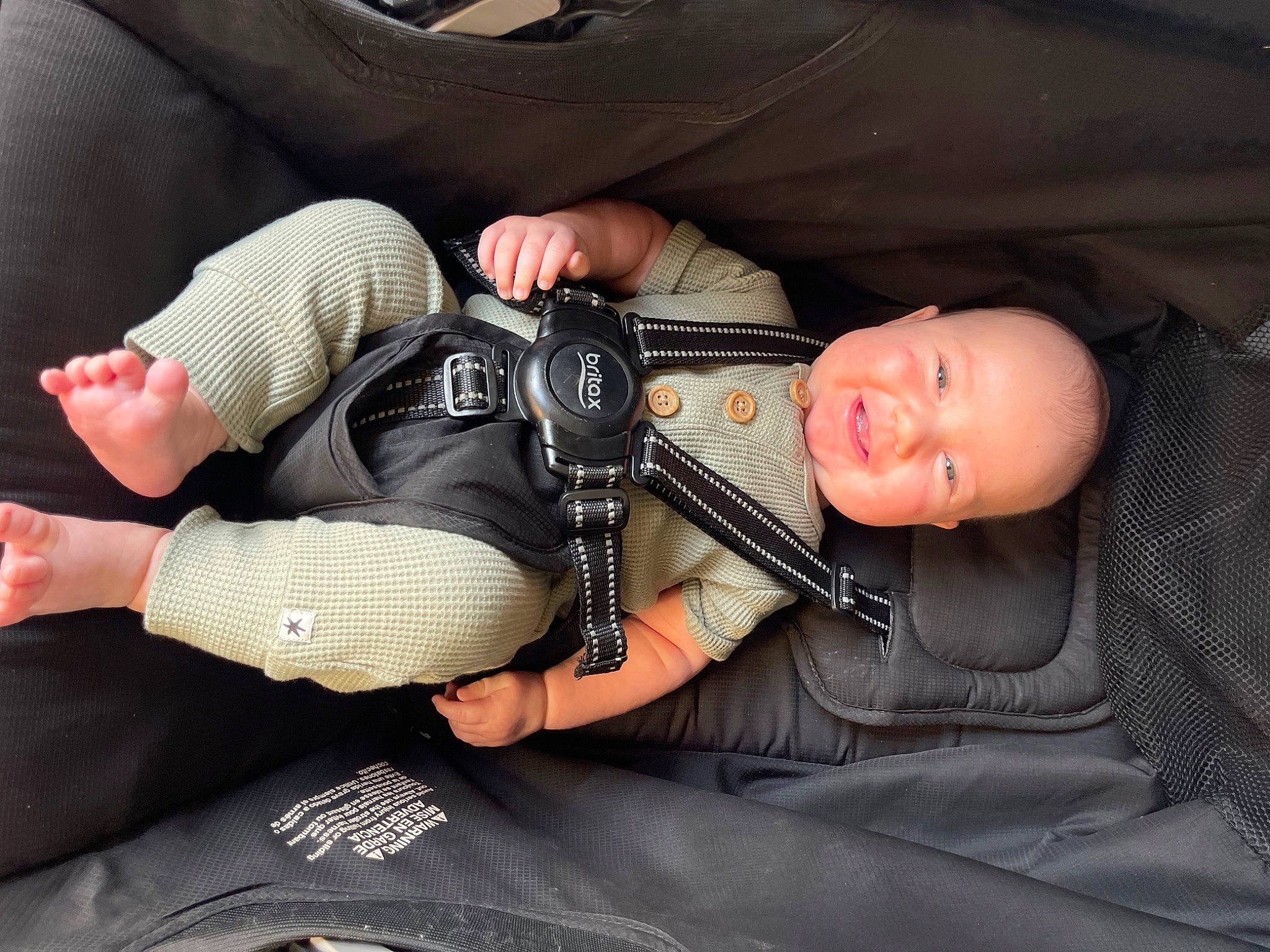 Finley joined the competition — help win amazing prizes! baby, baby_products, baby_toddler_clothing, child, comfort, finger, human_body, human_leg, knee, leg, nail, nap, person, personal_protective_equipment, sitting, sleep, sleeve, thigh, toddler, tree
