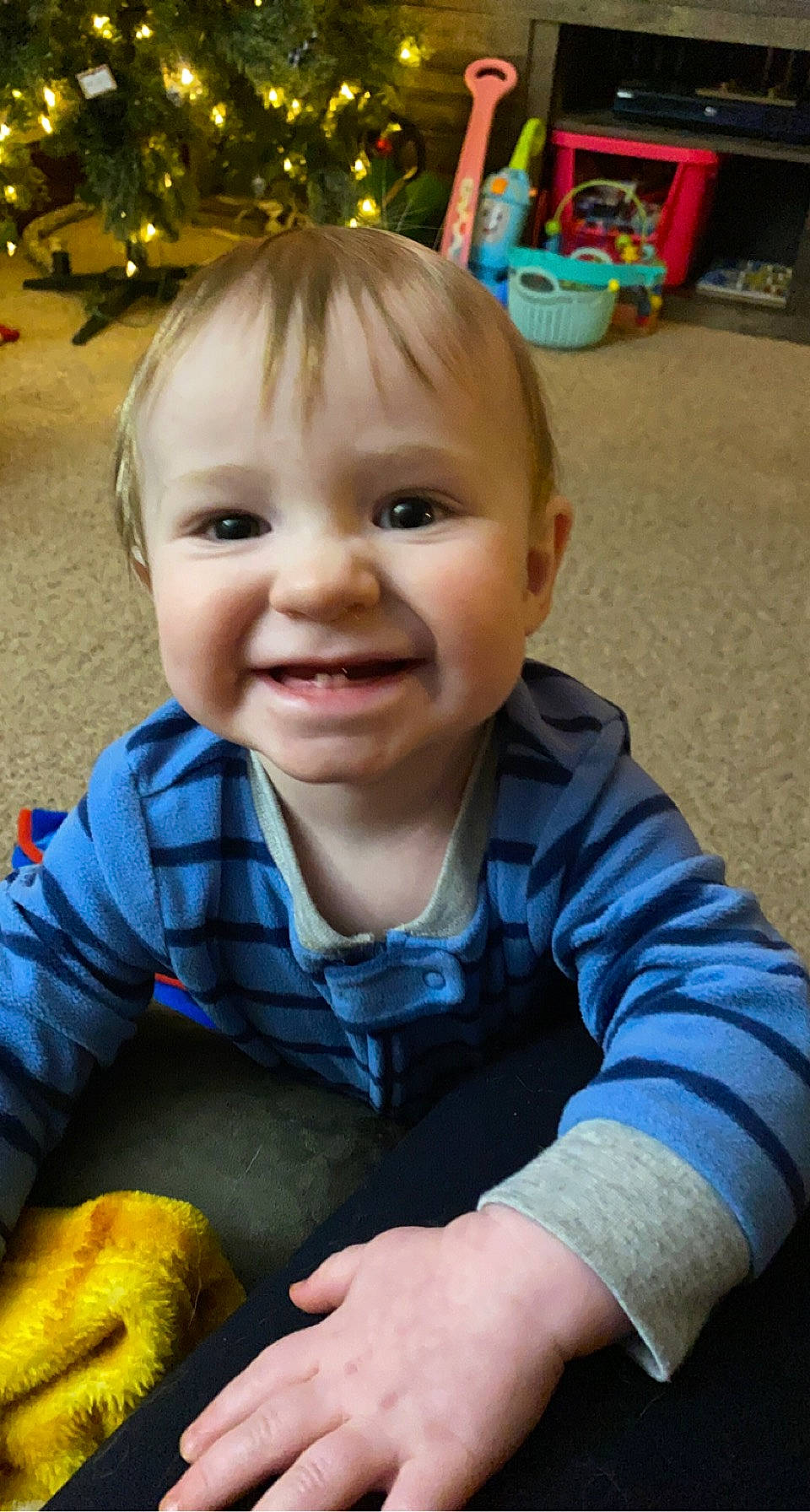 Rhett joined the competition — help win amazing prizes! baby, baby_toddler_clothing, blue, cheek, christmas_tree, eye, finger, fun, happy, head, iris, joy, nose, organ, person, photograph, skin, sleeve, smile, toddler