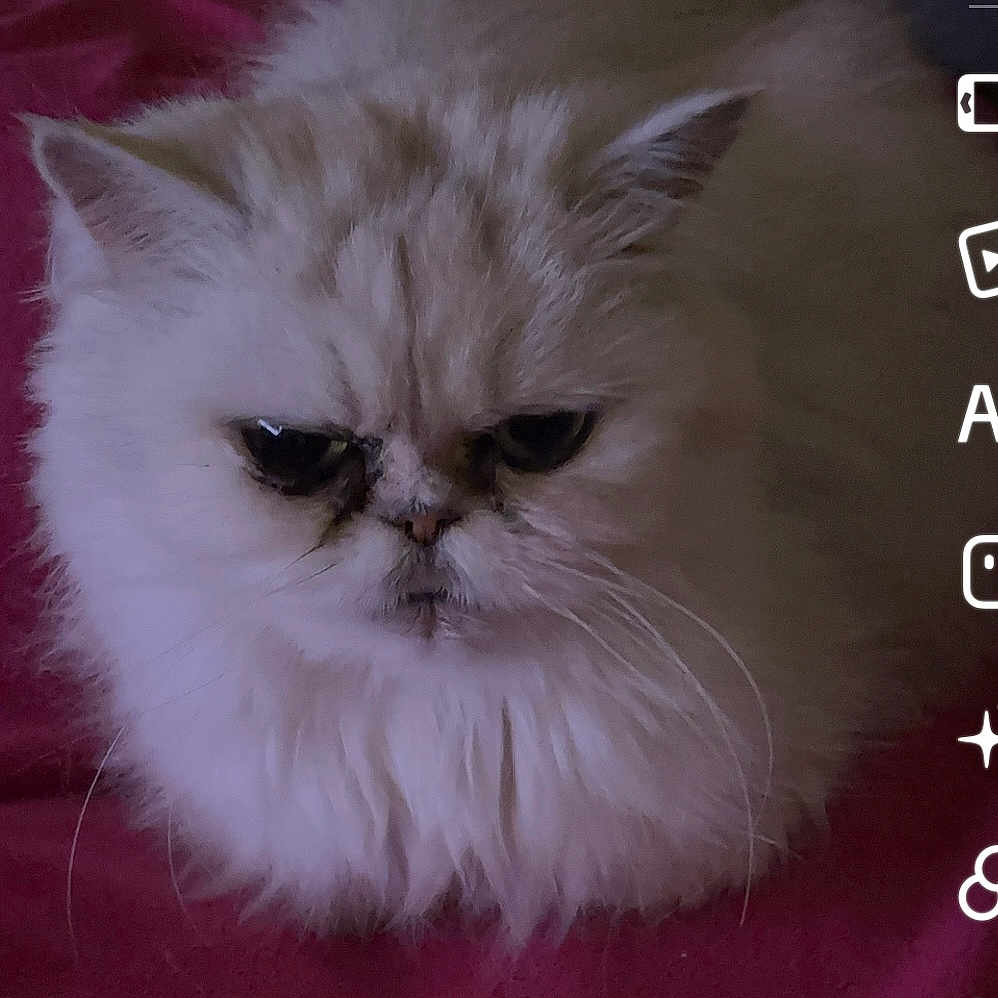 Margot