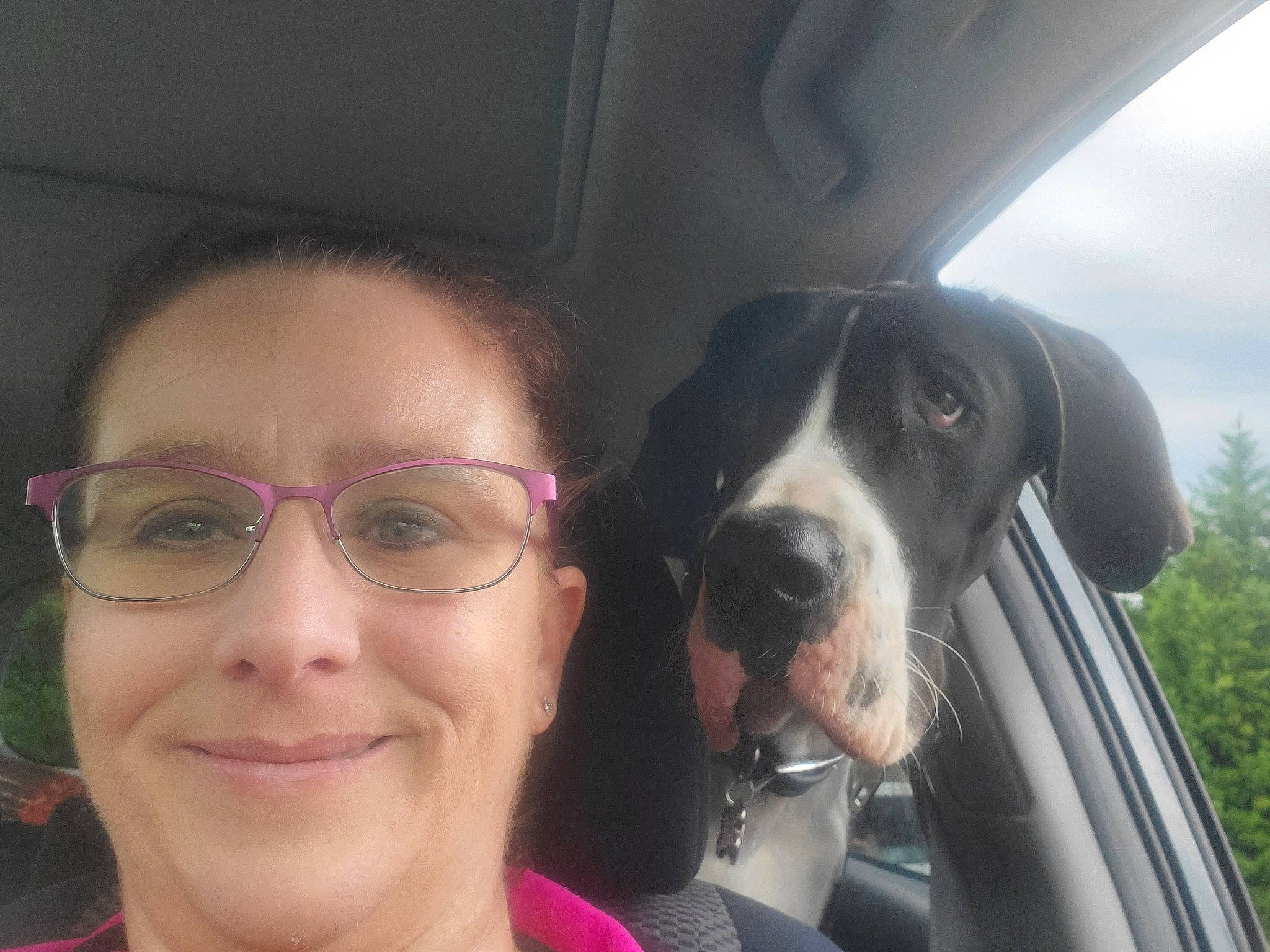 Priscilla Hazel Dashiells is registered to the contest to win money with this photo: automotive_mirror, canidae, car_seat, carnivore, cloud, companion_dog, dog, dog_breed, eyewear, glasses, happy, motor_vehicle, selfie, sky, smile, snout, sporting_group, vehicle, vehicle_door, vision_care