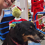 Allie Henry joined the competition — help win amazing prizes! woman, dog, grinch, plush_toy, smiling, indoor, warehouse, holiday, christmas, santa_hat, harness, shopping_cart, blue_bins, decorations, pet, leash, store, smile, face, person