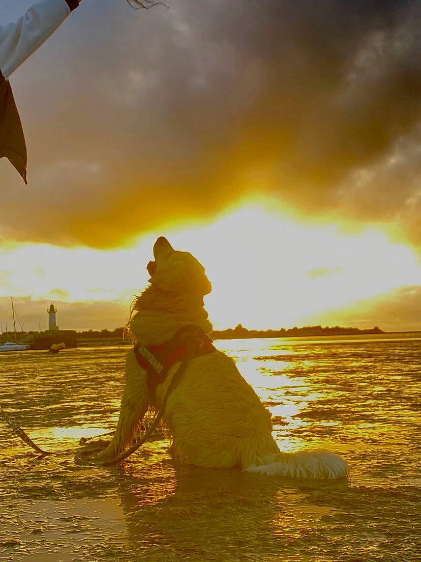 Eliot participe au concours pour gagner de l'argent avec cette photo : afterglow, cloud, dusk, happy, horizon, lake, leisure, morning, nature, people_in_nature, people_on_beach, plant, sky, summer, sunlight, sunrise, sunset, tints_and_shades, travel, water
