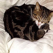 Happy participe au concours pour gagner de l'argent avec cette photo :