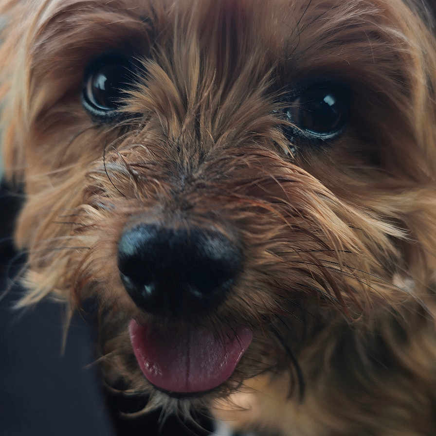 Esther