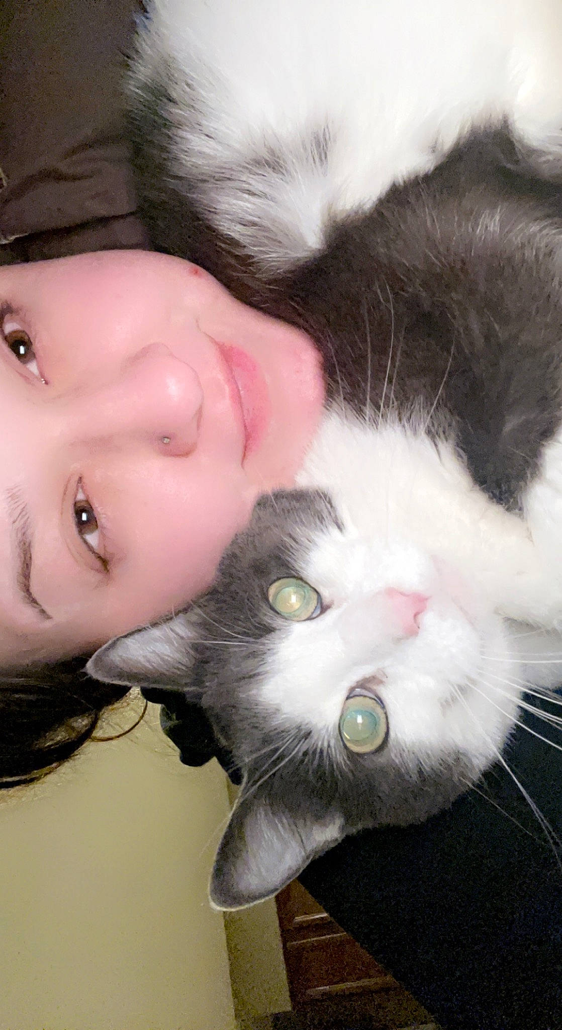 General joined the competition — help win amazing prizes! beard, carnivore, cat, close_up, ear, eyebrow, eyelash, facial_expression, felidae, fur, gesture, iris, nose, plant, skin, small_to_medium_sized_cats, snout, tail, tree, whiskers