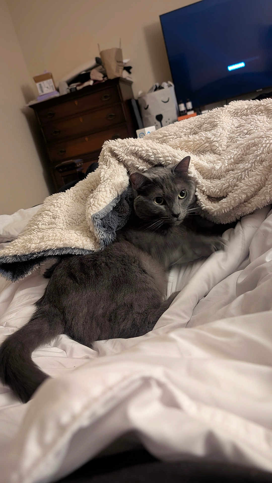 Smokey