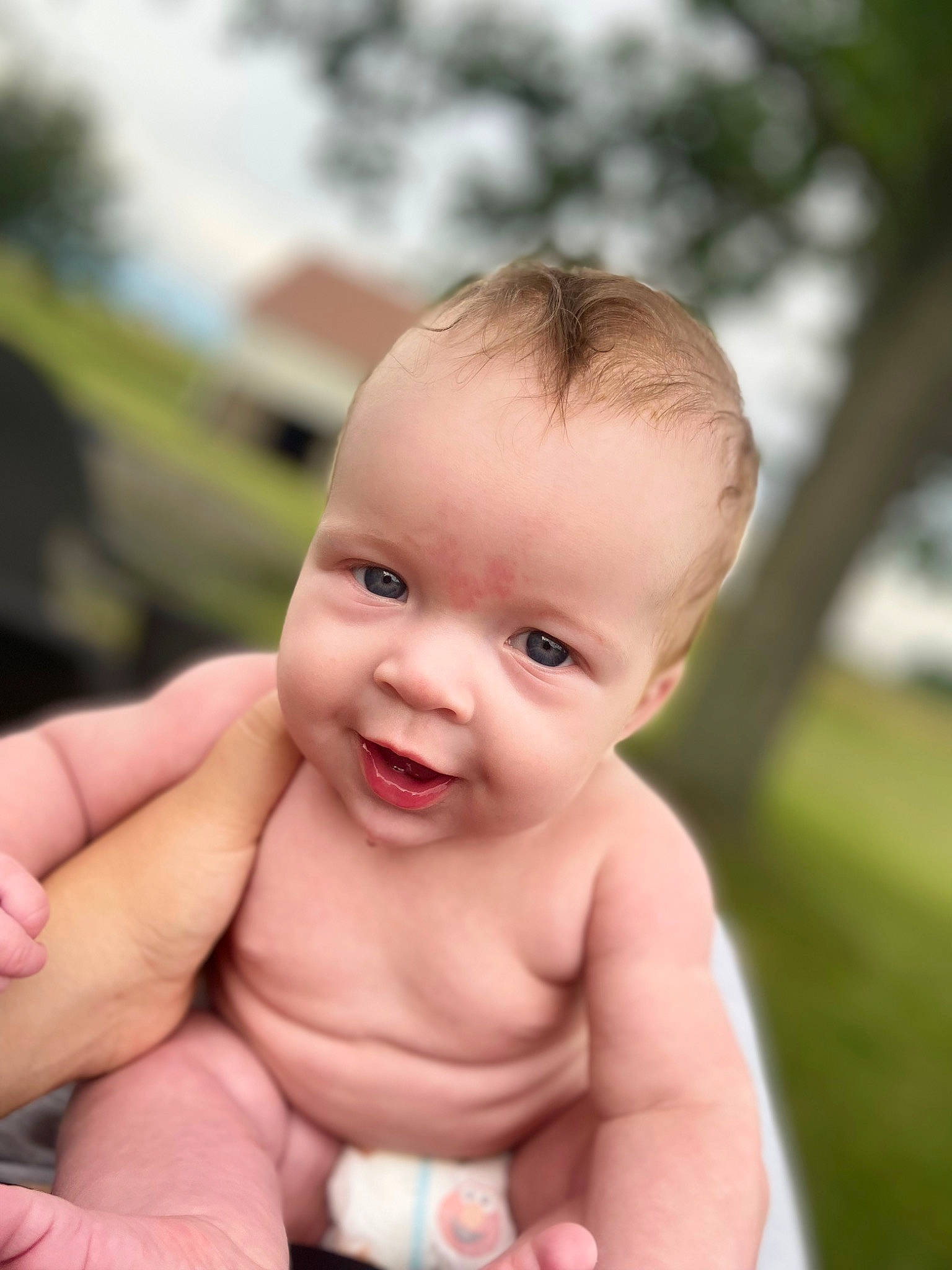 Khaleesi is registered to the contest to win money with this photo: baby, cheek, chest, child, face, finger, gesture, grass, hand, happy, head, human_body, lip, mouth, nose, person, skin, smile, stomach, thumb