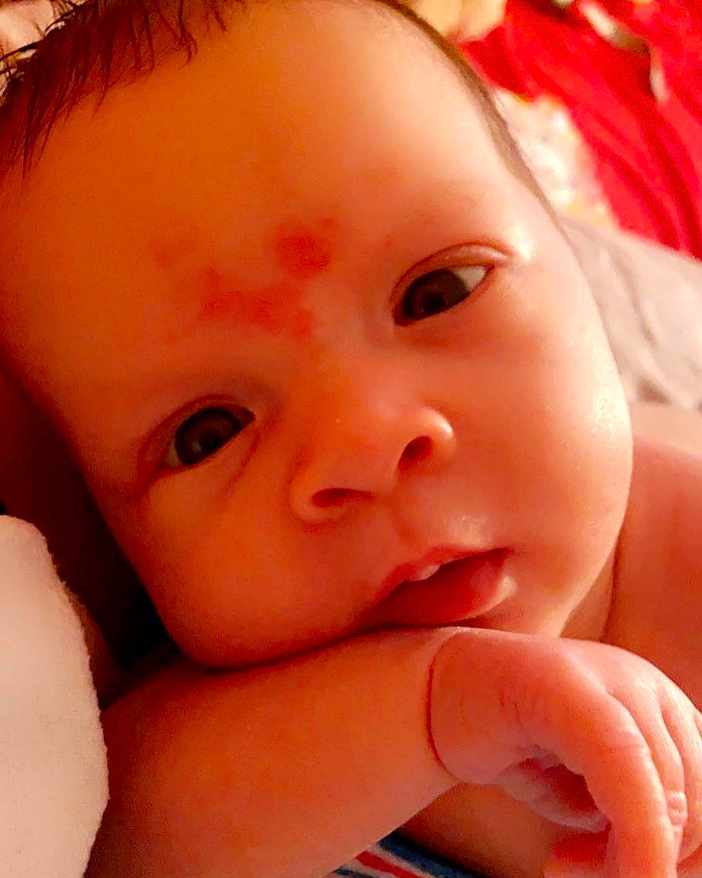 Khaleesi joined the competition — help win amazing prizes! arm, cheek, chin, eye, eyebrow, eyelash, face, forehead, hair, hairstyle, hand, head, human_body, lip, mouth, muscle, neck, nose, organ, person