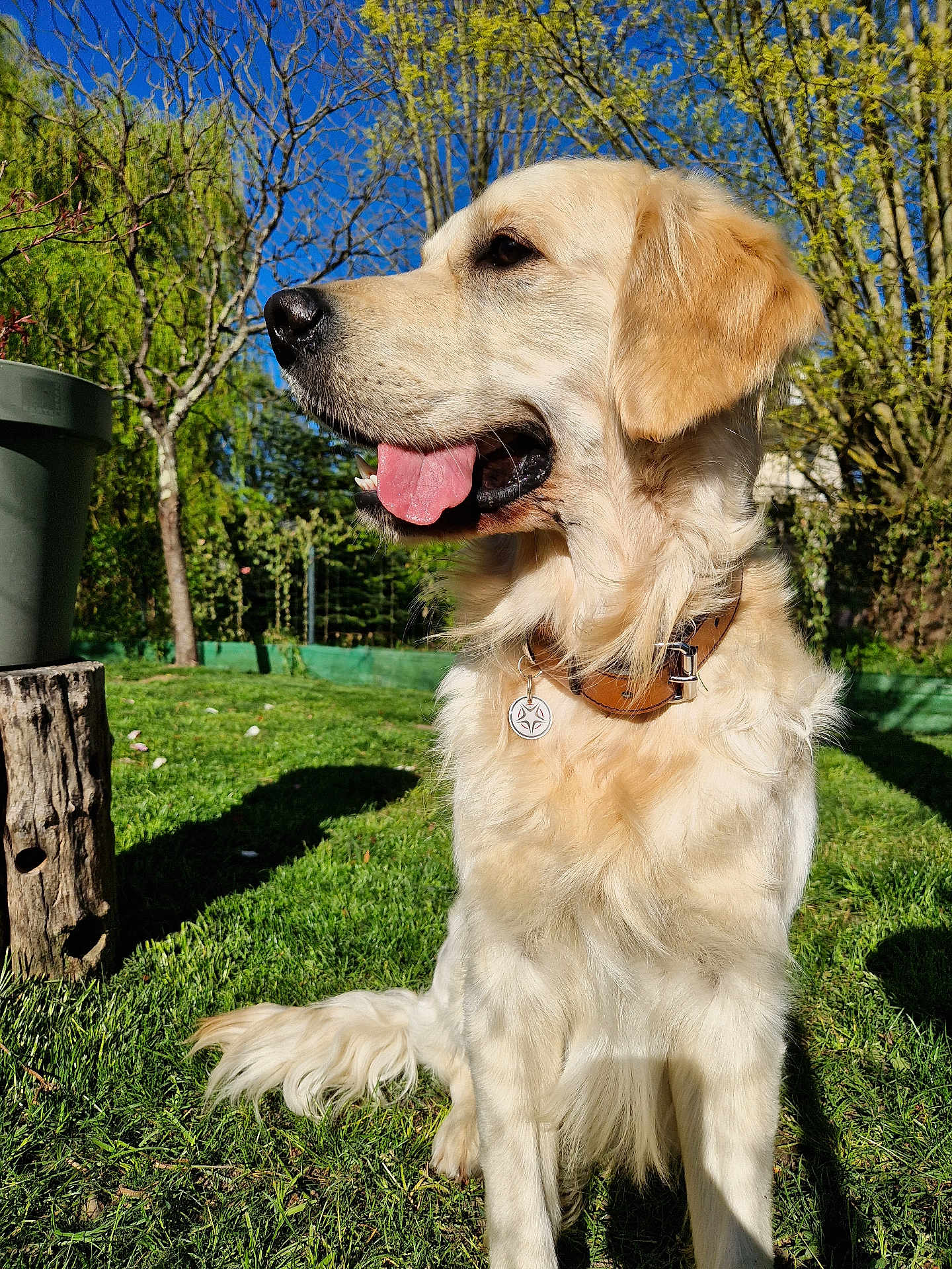 Usko