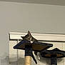Xavier is registered to the contest to win money with this photo: cat, tabby, sleeping, cat_tree, indoor, pet, feline, relaxed, window_blinds, neutral_wall, paws, tail, platform, cozy, resting, household, animal, domestic, cute, lazy