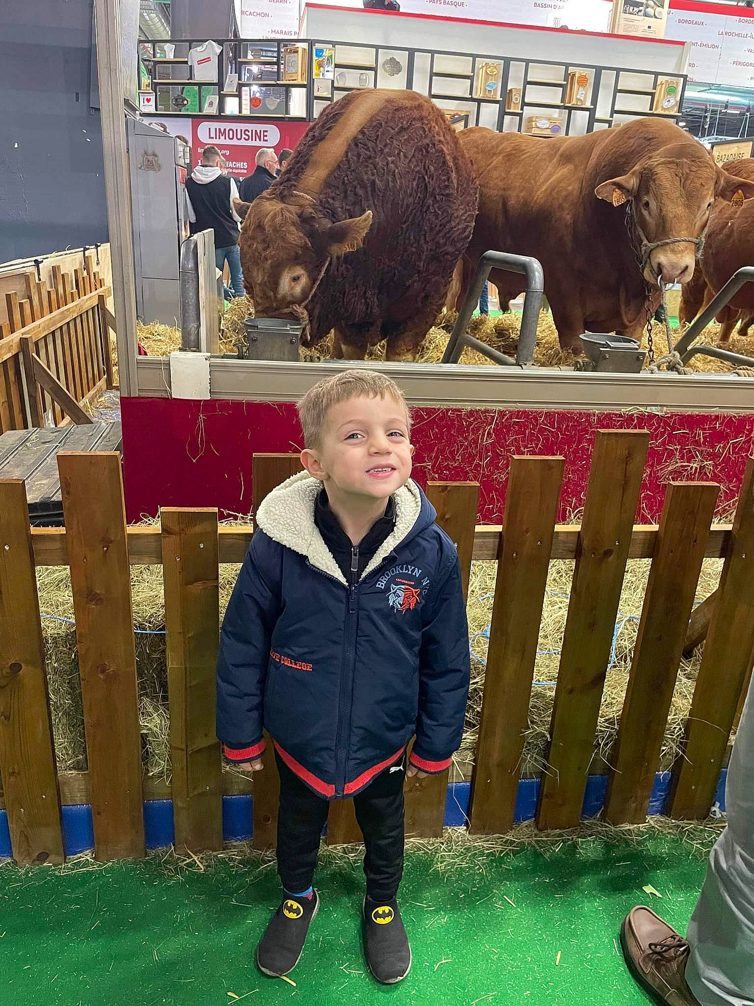 Dimitry participe au concours pour gagner de l'argent avec cette photo : african_elephant, boot, elephant, elephants_and_mammoths, event, fence, fun, fur, grass, green, indian_elephant, leisure, livestock, mammal, person, recreation, shoe, terrestrial_animal, vertebrate, wildlife