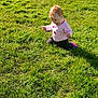 Mackenzie is registered to the contest to win money with this photo: child, flower, grass, grass_family, grassland, green, groundcover, lawn, leaf, meadow, pasture, people_in_nature, plant, play, shrub, spring, toddler, yard