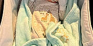 Blu is registered to the contest to win money with this photo: baby, newborn, sleeping, blanket, bassinet, mittens, hat, pacifier, clothing, soft_fabric, cozy, infant, cute, giraffe, knitted_blanket, bed, wrapped, resting, indoors, peaceful